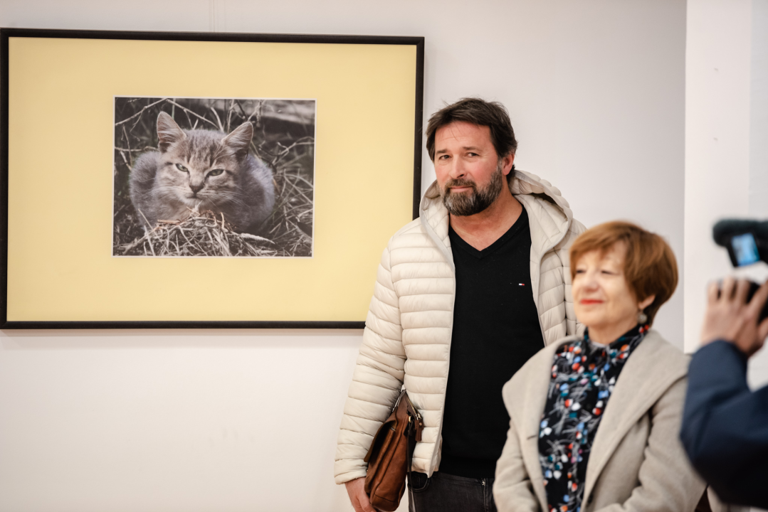 U knjižnici otvorena izložba koju ljubitelji mačaka ne smiju propustiti