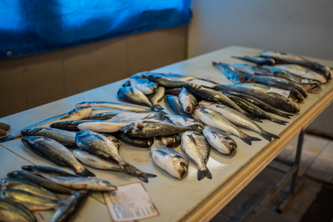 Jutros se na šibenskoj pijaci jasno vidjelo da je petak: Peškarija puna, na zelenom dijelu pustoš 