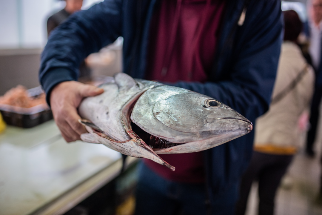 Jutros se na šibenskoj pijaci jasno vidjelo da je petak: Peškarija puna, na zelenom dijelu pustoš 
