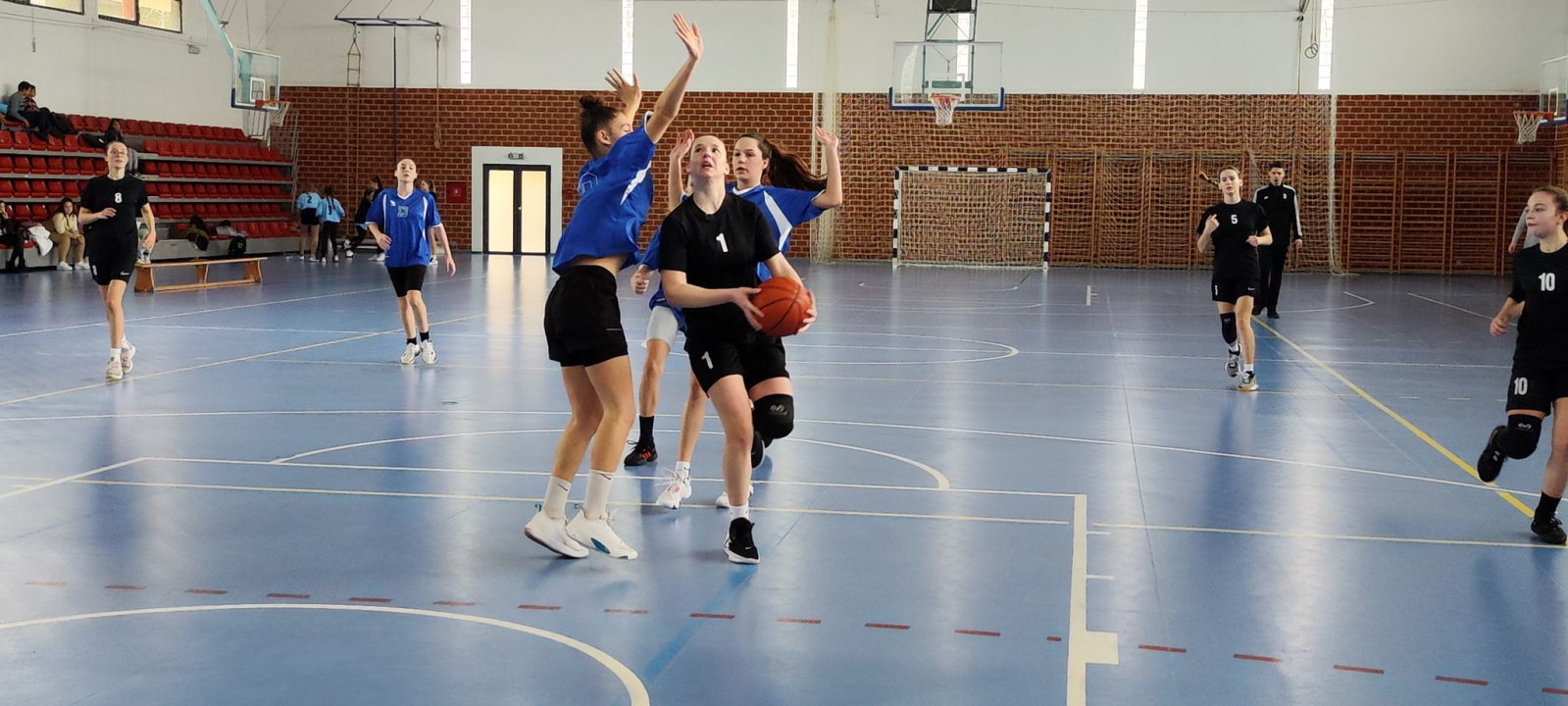 Košarkašice OŠ Meterize i košarkaši OŠ Antuna Mihanovića-Petropoljskog najbolji su u županiji 