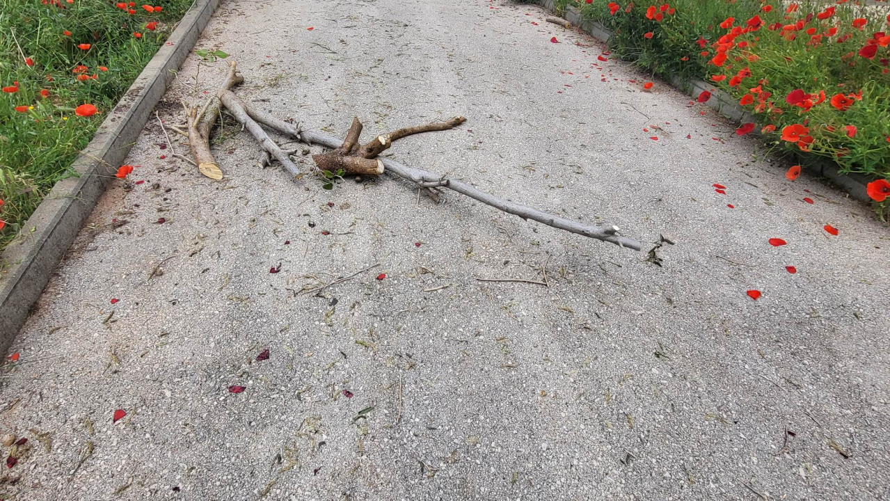 Pridružite se volonterskoj akciji, uređenju 'Robertinog parka' u blizini OŠ Juraj Dalmatinac