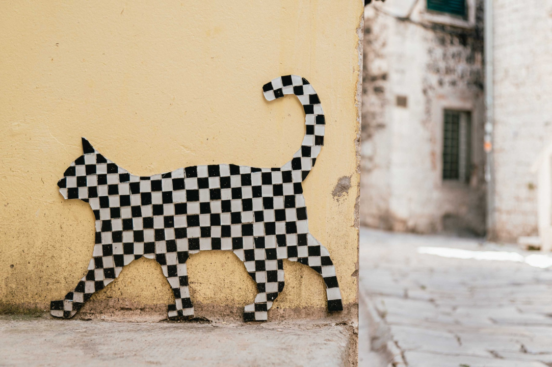 Mačke nakon šibenskih ulica osvojile i fasade u starom gradu: Autora ovog 'street arta' još uvijek ne znamo, ali sviđa nam se