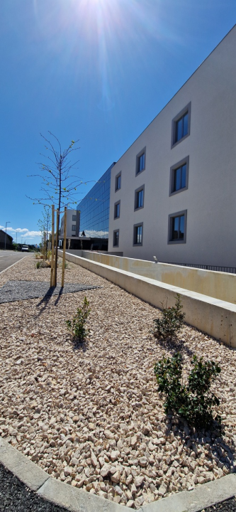 Uređen okoliš studentskog doma Palacin