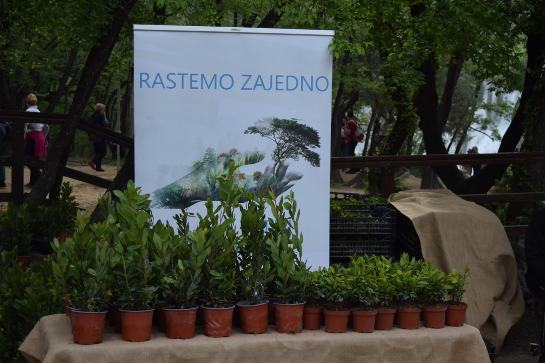 NP Krka pridružio se europskoj akciji 'Rastemo zajedno', posjetiteljima podijelili tisuću sadnica
