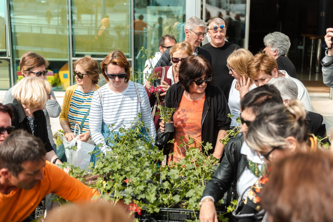 Stotinjak građana utjehu našlo u điranima: 'Vidi ove, cili je vrt natrpala!'