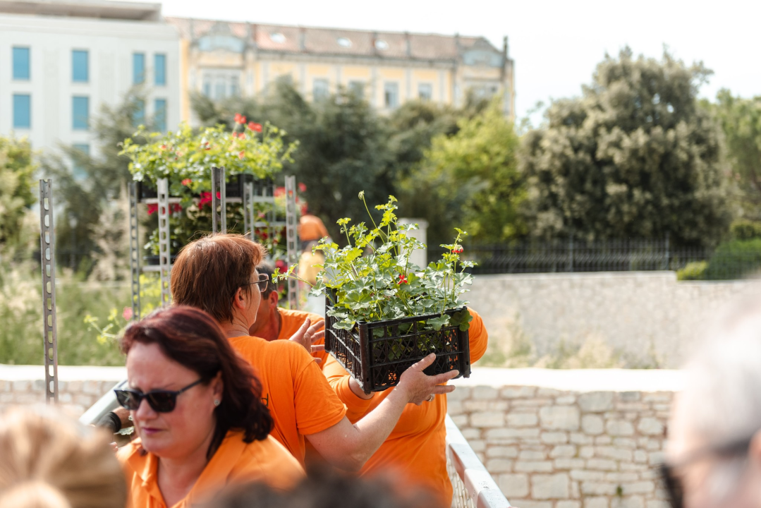 Stotinjak građana utjehu našlo u điranima: 'Vidi ove, cili je vrt natrpala!'