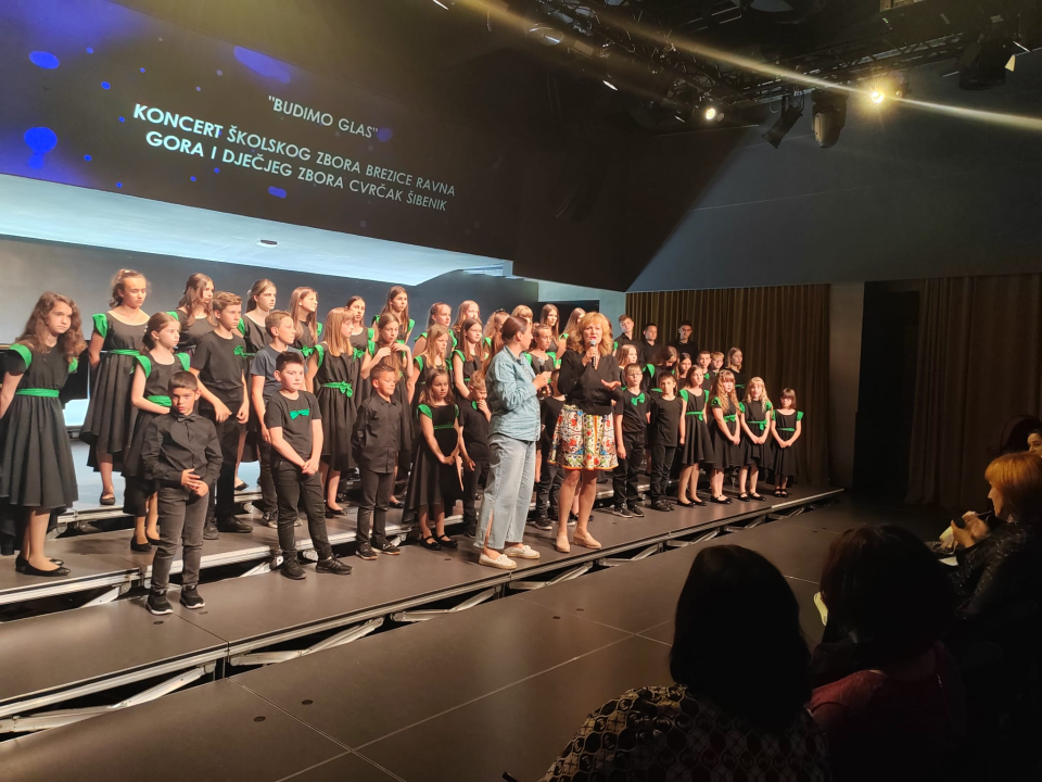 'Mali cvrčci' i njihovi gosti u Kući umjetnosti Arsen oduševili publiku koncertom 'Budimo glas' 