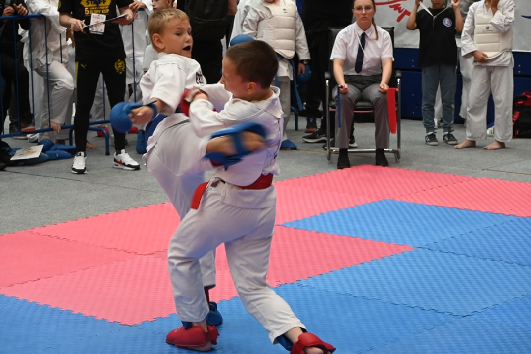 Vodički karataši s natjecanja u Sarajevu vratili se s 11 medalja