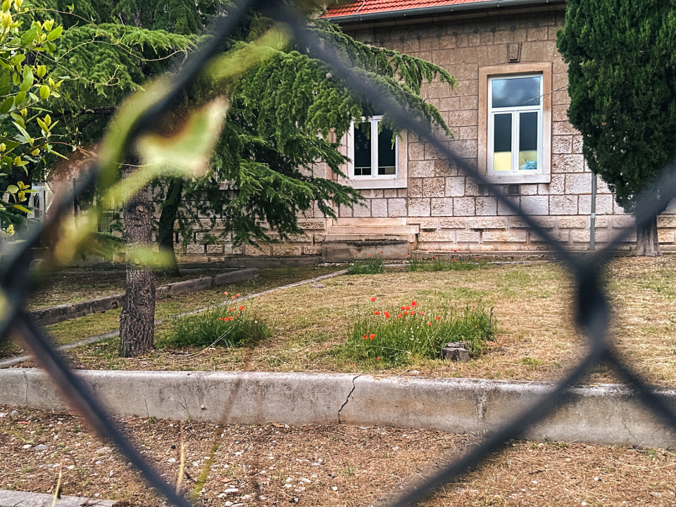 Dobri vrtlar Marko opet ‘spašava’ makove oko šibenske bolnice