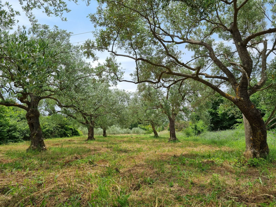Uručeni eko certifikati za proizvođače iz Skradina i Tribunja 