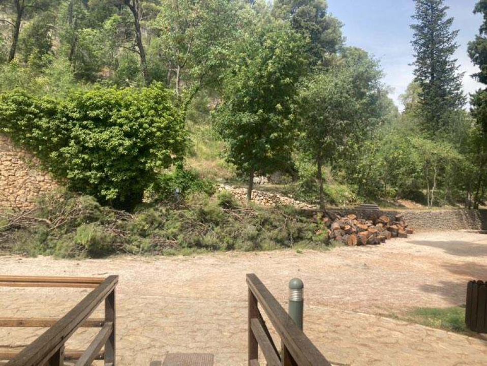 Uznemireni čitatelji snimili posječena stabla na Krki, iz NP-a poručuju: 'Bila su u vrlo lošem stanju'