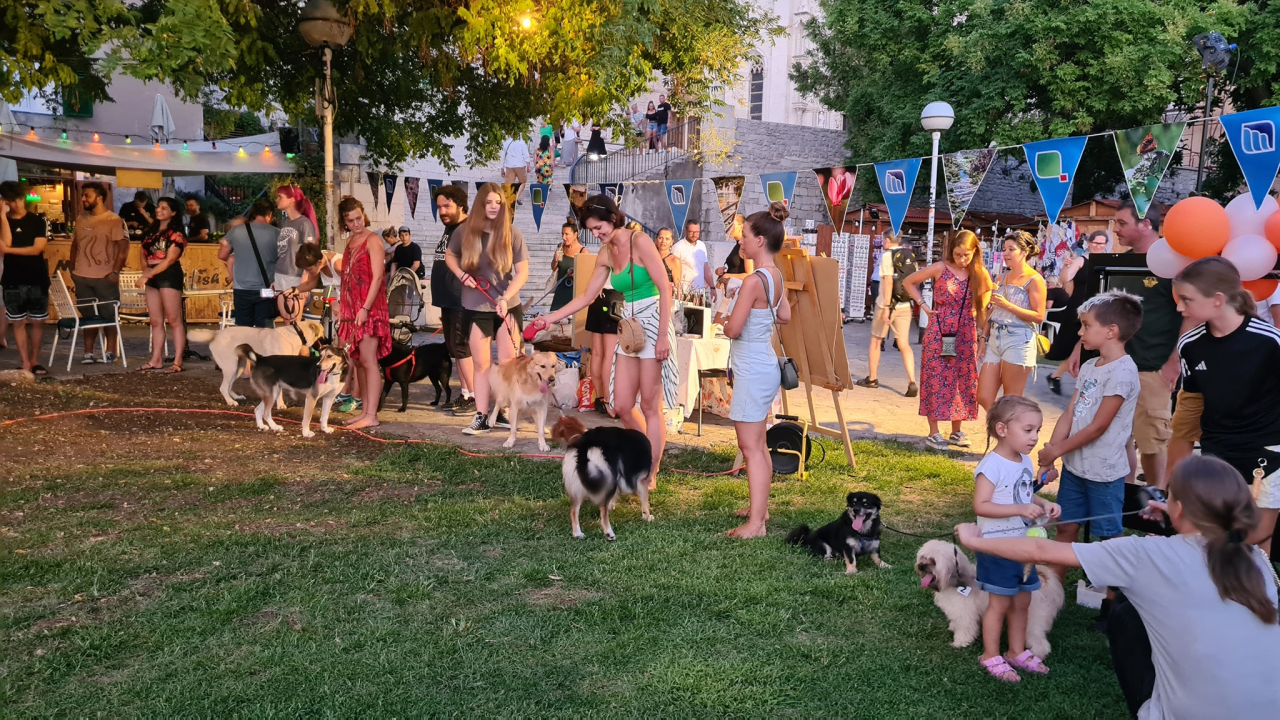 U Šibeniku izabrani najljepši psi mješanci