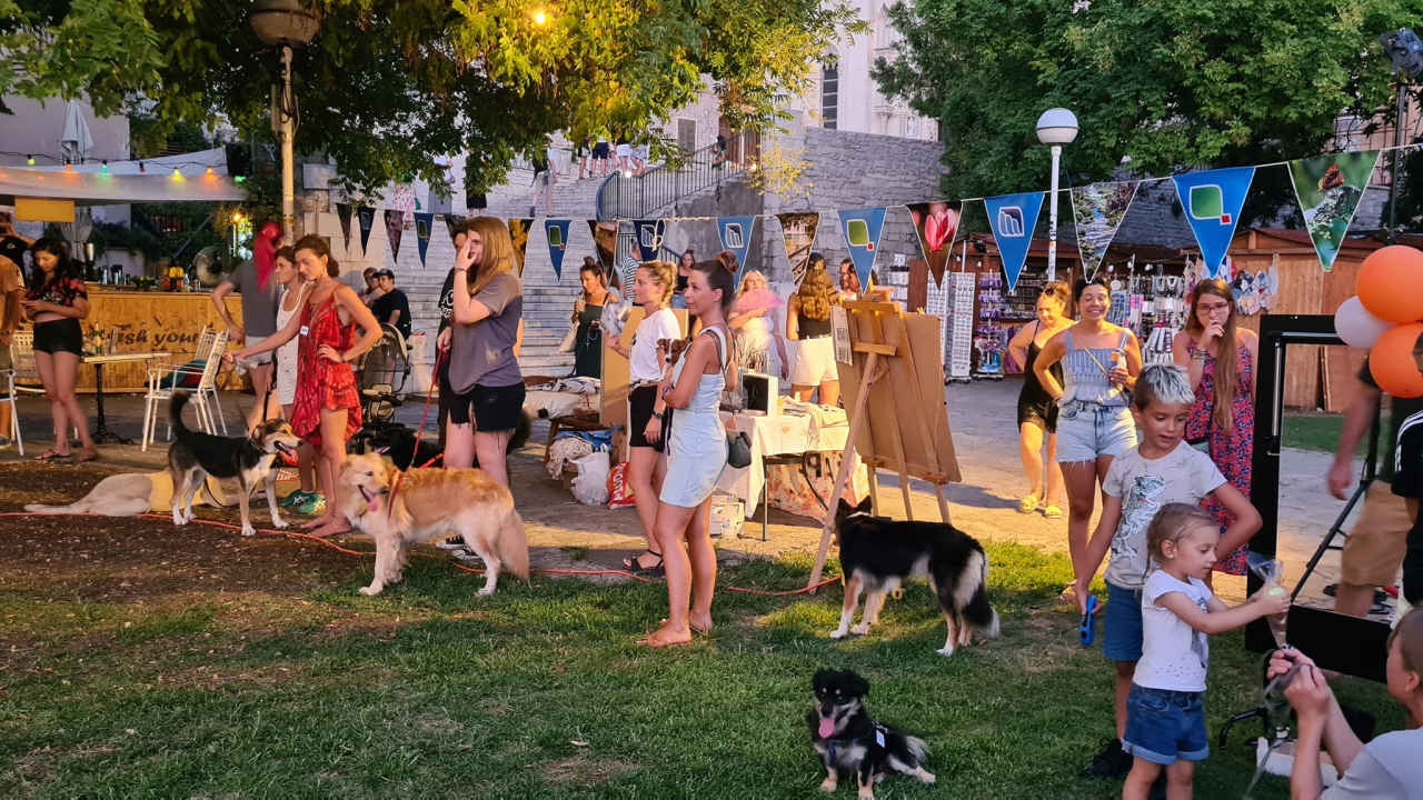 U Šibeniku izabrani najljepši psi mješanci