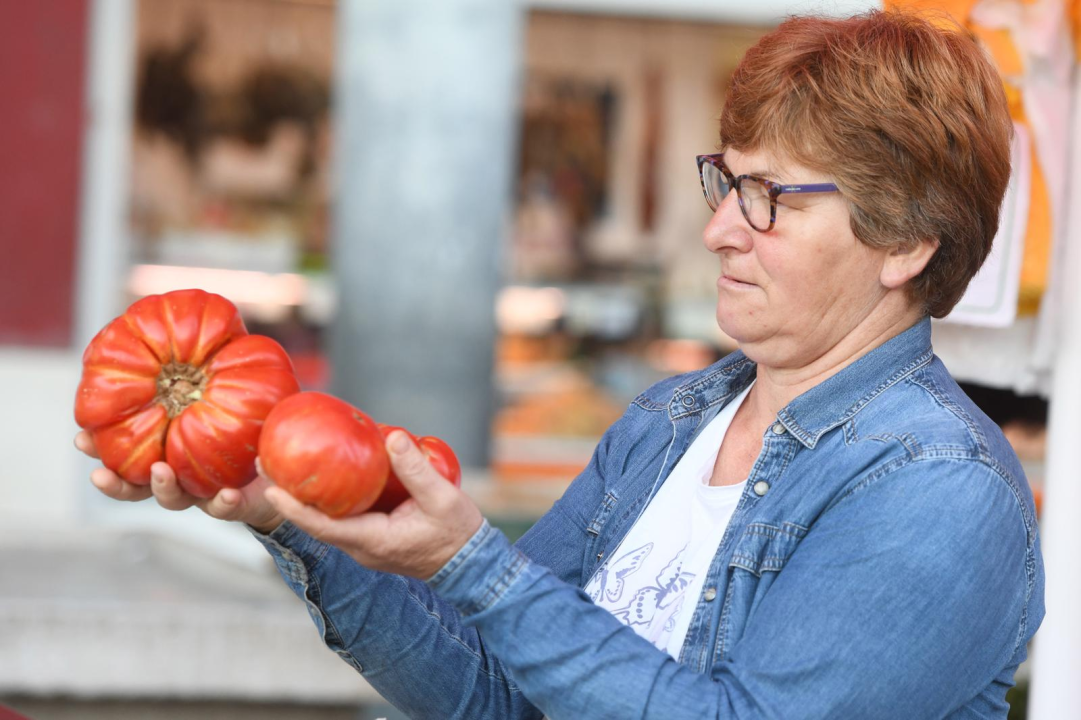 Uzgojena u Mirlović Zagori: Na šibenskoj pijaci na banku pomidora od kilogram i 200 grama