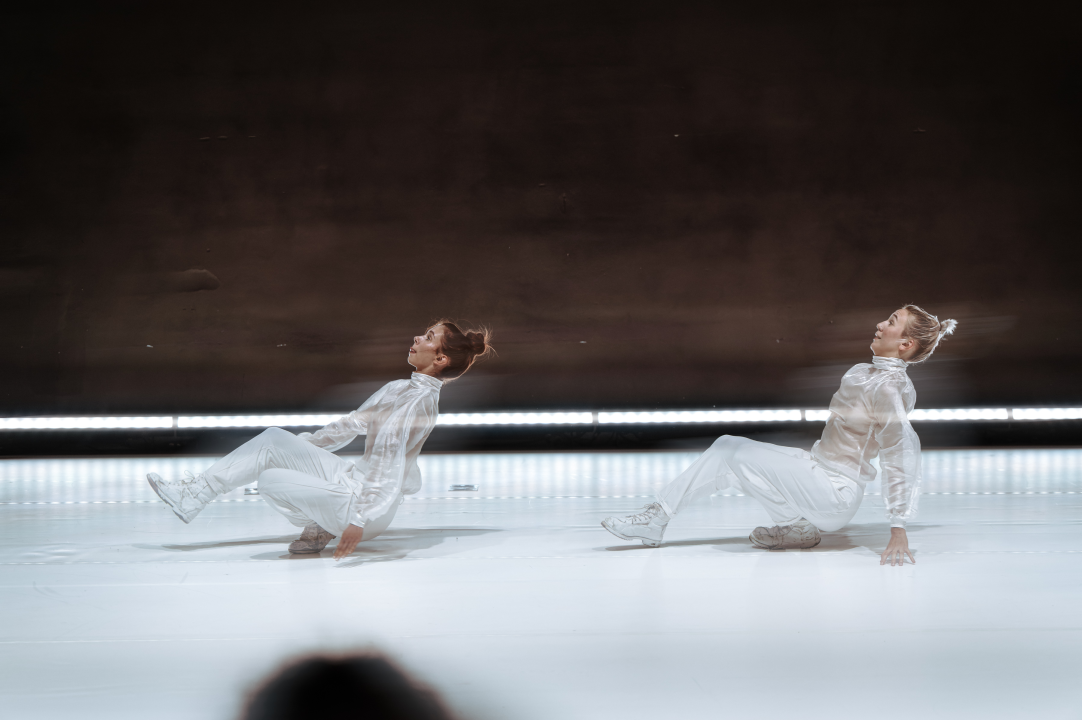 Strahovi malih razlika u Arsenu: Pitanja individualnog i kolektivnog, svjesnih i nesvjesnih obilježja sredine