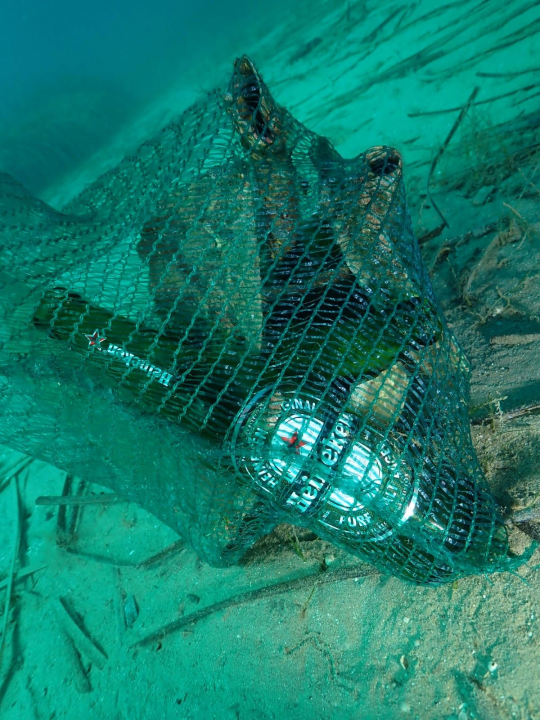 Čuvajmo Jadran zajedno: Duž obale održana velika simultana akcija čišćenja podmorja 