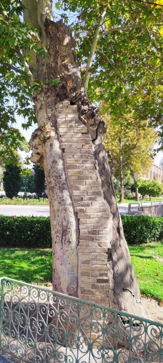 Petnaest planinara iz Šibenika krenulo u osvajanje najvećeg vrha u Iranu: Njih devetero je uspjelo!