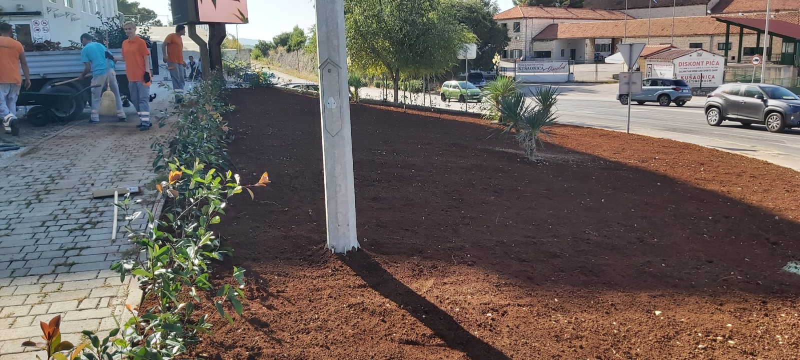 Zeleni grad Šibenik nastavlja s uljepšavanjem kvartova: Na Biocima posađene Yucca i Photinia 