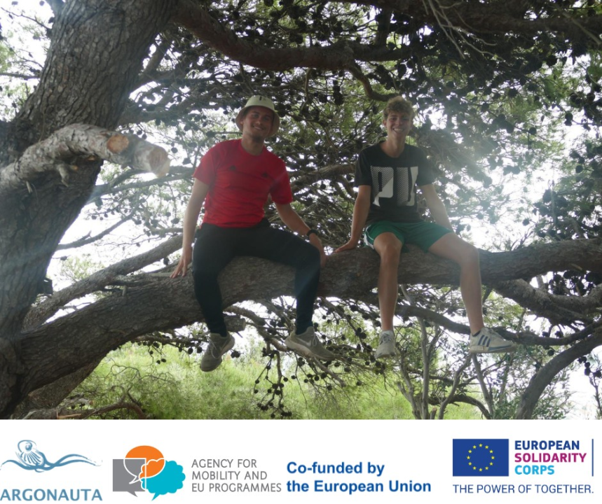 Masline su obrane, površine su zazelenjene, a Murter je čišći 