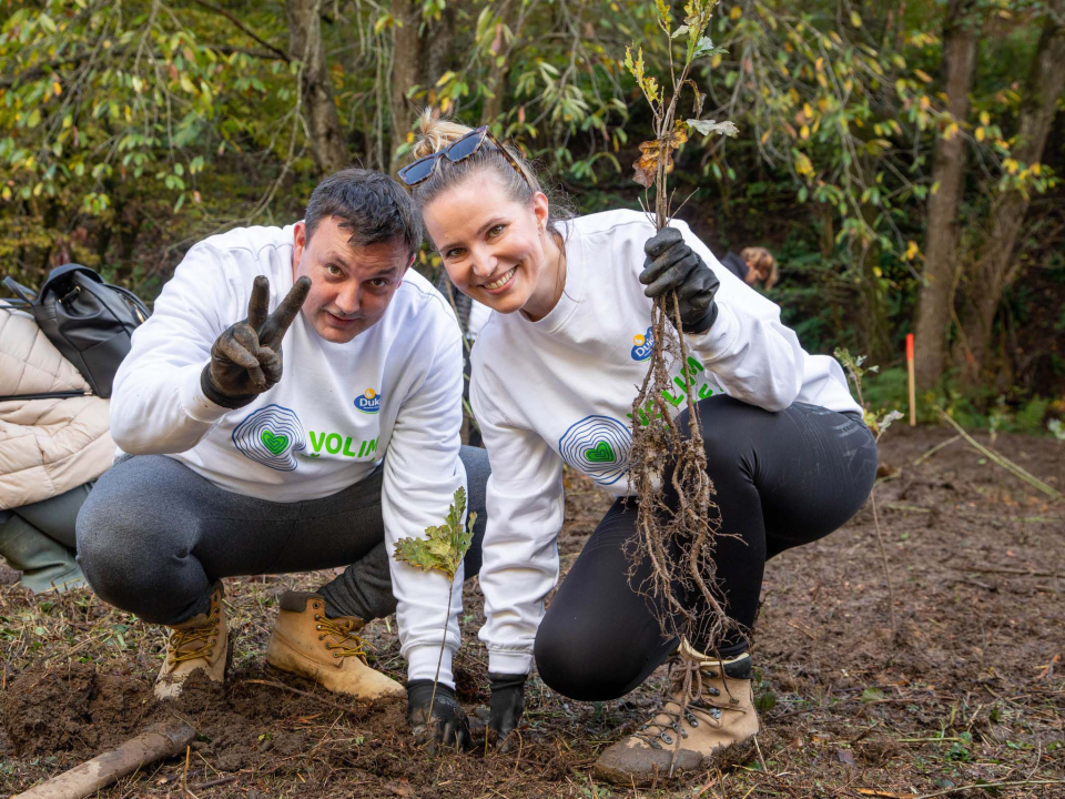 Zahvaljujući dječjim crtežima niče nova šuma od 11 tisuća sadnica!