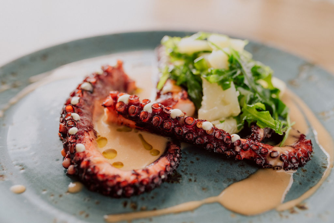 Bistro 'Kod Starog' ima novi meni i vrhunskog chefa Nikolu Knežića!