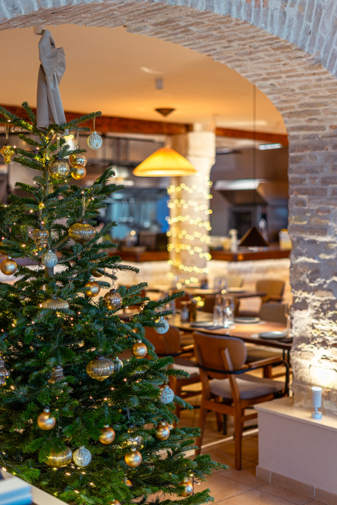 Uživajte u božićnom ugođaju restorana Mlin Montanari! 