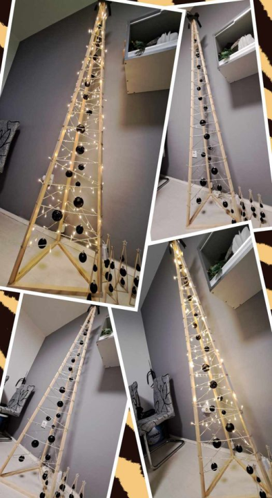 Provjerite tko su pobjednici izbora za naj jelku!