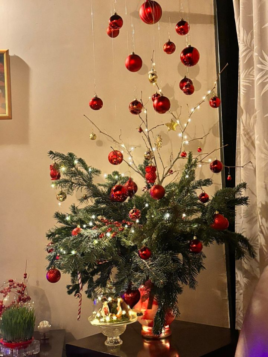 Provjerite tko su pobjednici izbora za naj jelku!