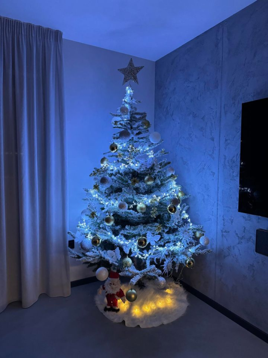 Provjerite tko su pobjednici izbora za naj jelku!