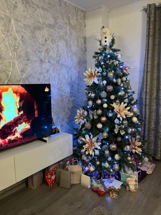 Provjerite tko su pobjednici izbora za naj jelku!