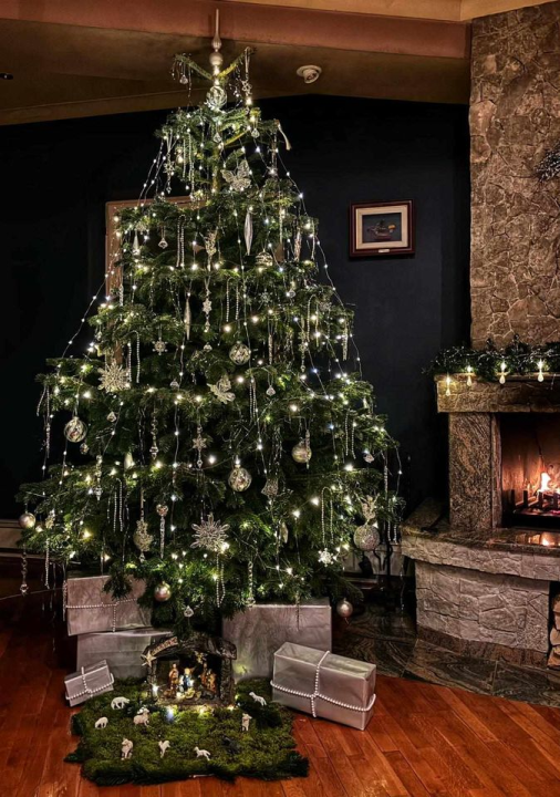 Provjerite tko su pobjednici izbora za naj jelku!