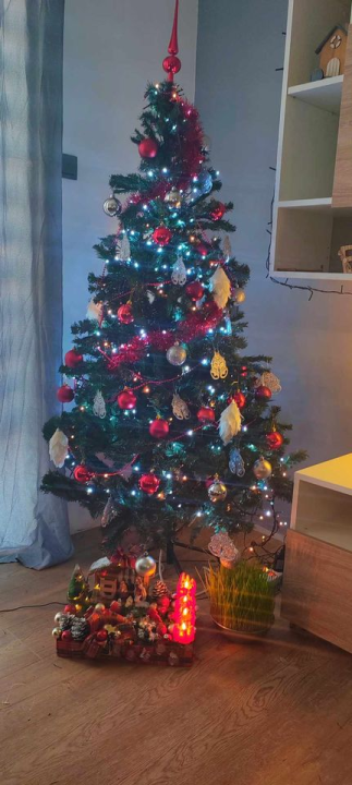 Provjerite tko su pobjednici izbora za naj jelku!