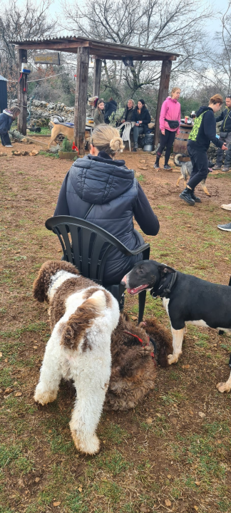 Marko Aleksić, interventni policajac i trener pasa: 'Odgoj psa treba shvatiti ozbiljno, a veću ljubav u životu nećete dobiti'