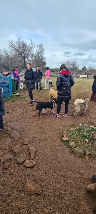 Marko Aleksić, interventni policajac i trener pasa: 'Odgoj psa treba shvatiti ozbiljno, a veću ljubav u životu nećete dobiti'