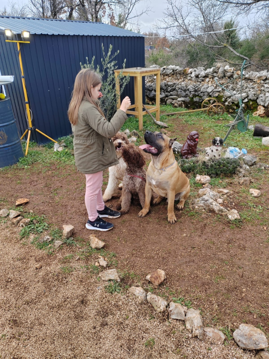 Marko Aleksić, interventni policajac i trener pasa: 'Odgoj psa treba shvatiti ozbiljno, a veću ljubav u životu nećete dobiti'