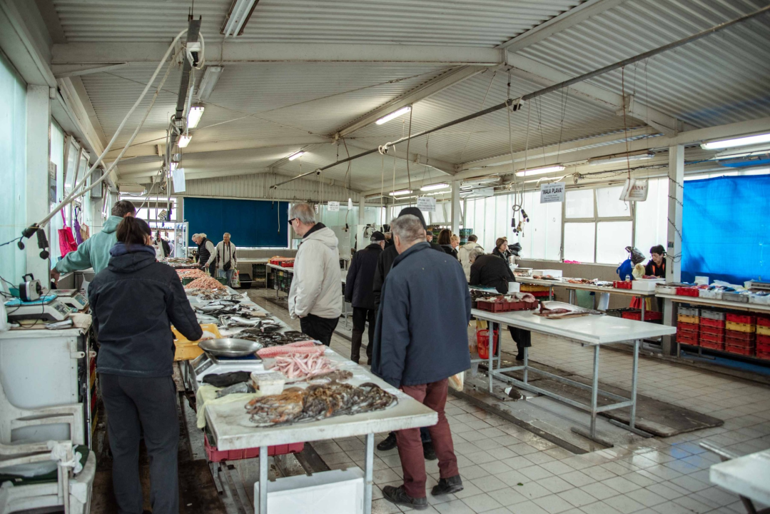 Kakav dan, takva i ponuda: Južina i lovostaj nude depresiju na peškariji i pijaci