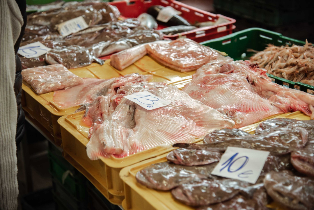 Kakav dan, takva i ponuda: Južina i lovostaj nude depresiju na peškariji i pijaci