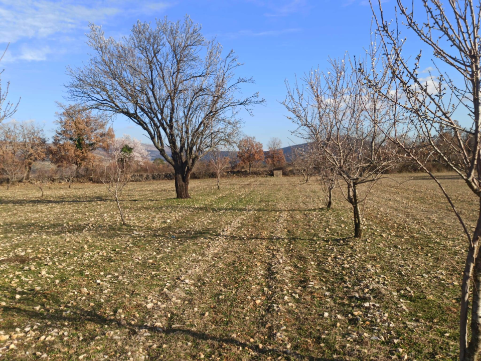 Martin i supruga odlučili su ostati na selu i baviti se poljoprivredom: 'Na OPG-u u Petrovom polju radi cijela obitelj'