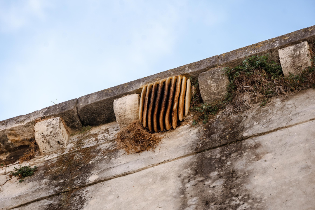 Naišli smo na pčelinjak na Maloj loži i pozvali pčelara: 'Nismo ni svjesni u kakvim ćemo problemima biti'