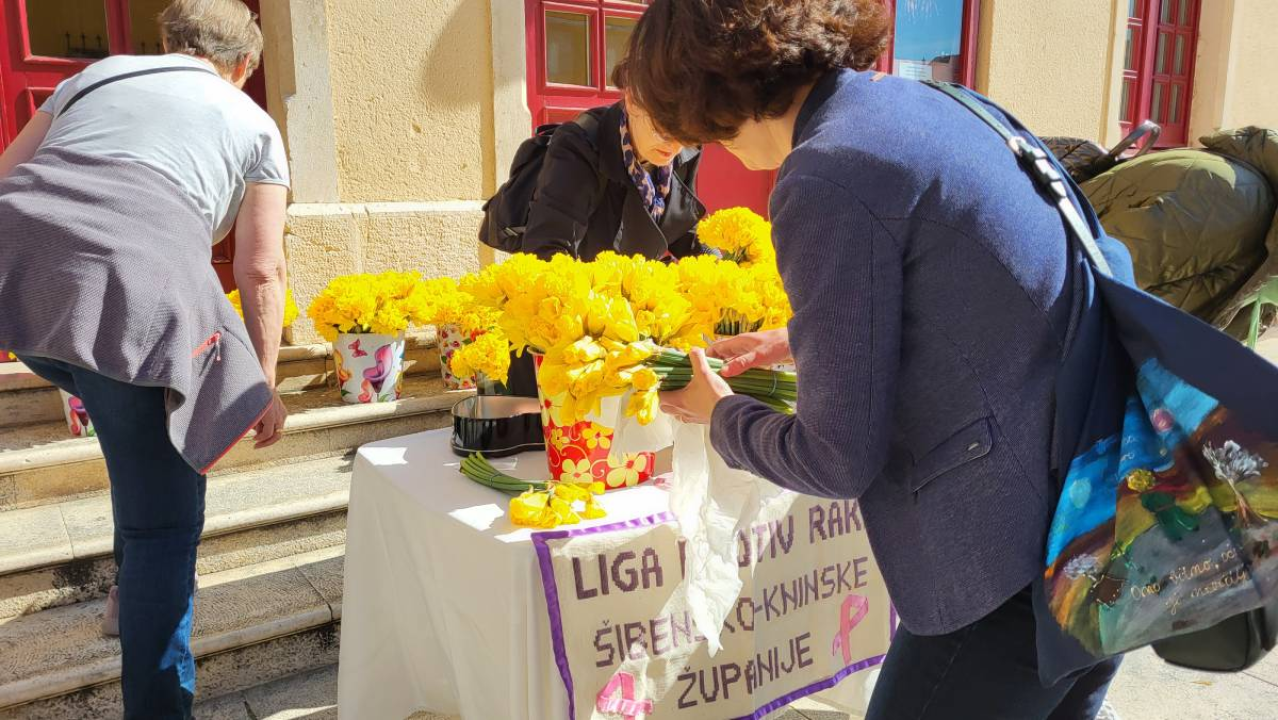 Liga protiv raka Šibensko-kninske županije obilježava Dan narcisa