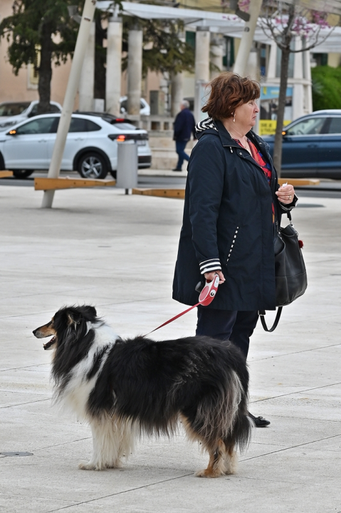 FOTO Đir po gradu, četvrtak 28. ožujka
