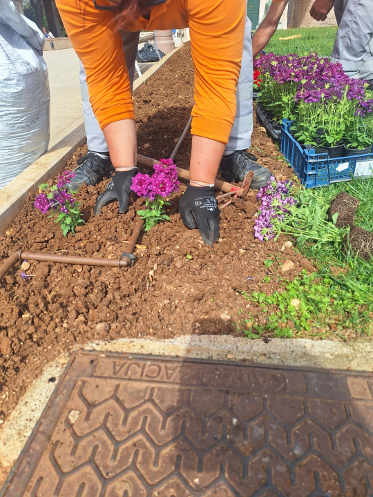 Zeleni grad uređuje Perivoj Luje Maruna