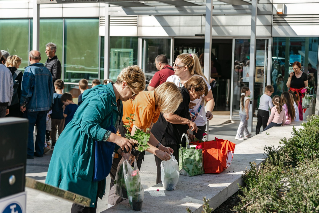 Gužva na Poljani: Šibenčani cvijeće najviše vole kad je besplatno