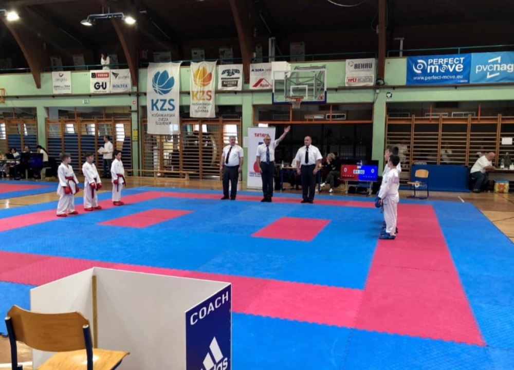 Borci KK Phoenix na natjecanju u Postojni ostvarili vrhunske rezultate 