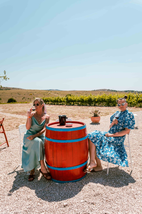 Posjetite lokalne kušaonice vina po čak 50 posto nižim cijenama!