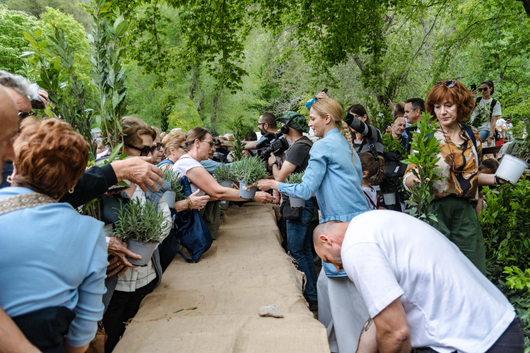 Podijeljeno tisuću sadnica lavande i lovora: 'Želimo očuvati naše ekosustave i poticati bioraznolikost' 
