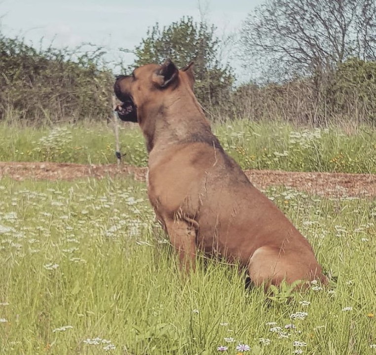 Provjerite tko su naj ljubimci 2024. godine!