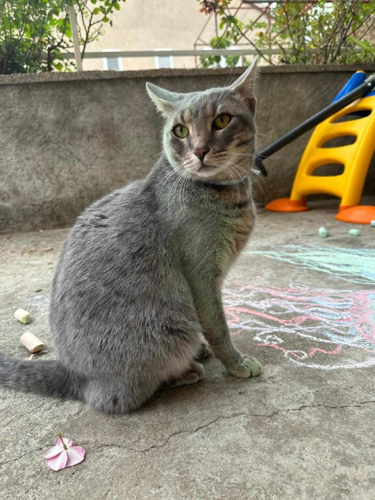 Provjerite tko su naj ljubimci 2024. godine!