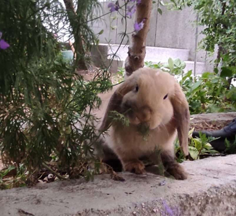 Provjerite tko su naj ljubimci 2024. godine!