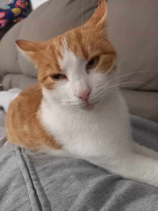 Provjerite tko su naj ljubimci 2024. godine!